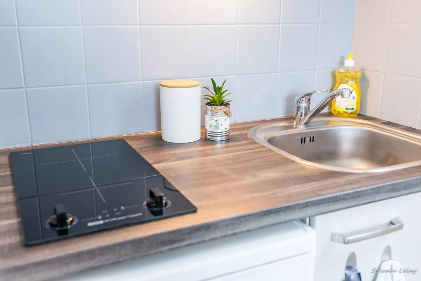 Appartement T2 - Proche Gare - Bord de Vilaine Rennes France